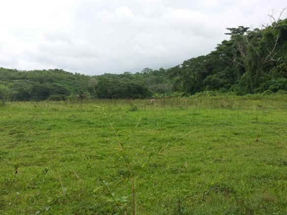 First image of Rock River Main Road in Becford Kraal, Clarendon, Jamaica - property is For Sale