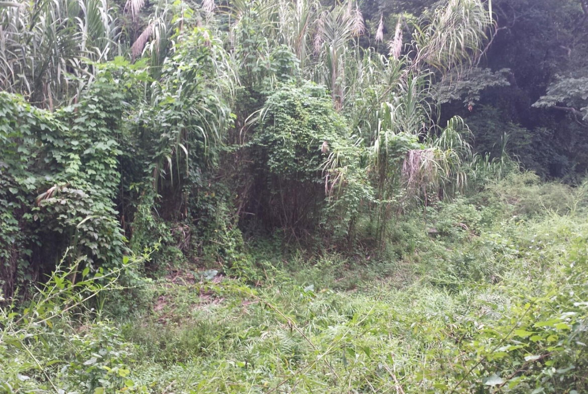 Seventh image of Rock River Main Road in Becford Kraal, Clarendon, Jamaica - property is For Sale