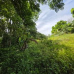 First image of Warwick Castle in Gayle, St. Mary, Jamaica - property is For Sale