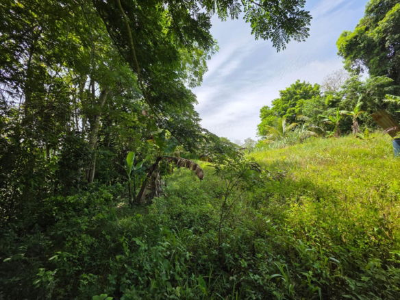 First image of Warwick Castle in Gayle, St. Mary, Jamaica - property is For Sale