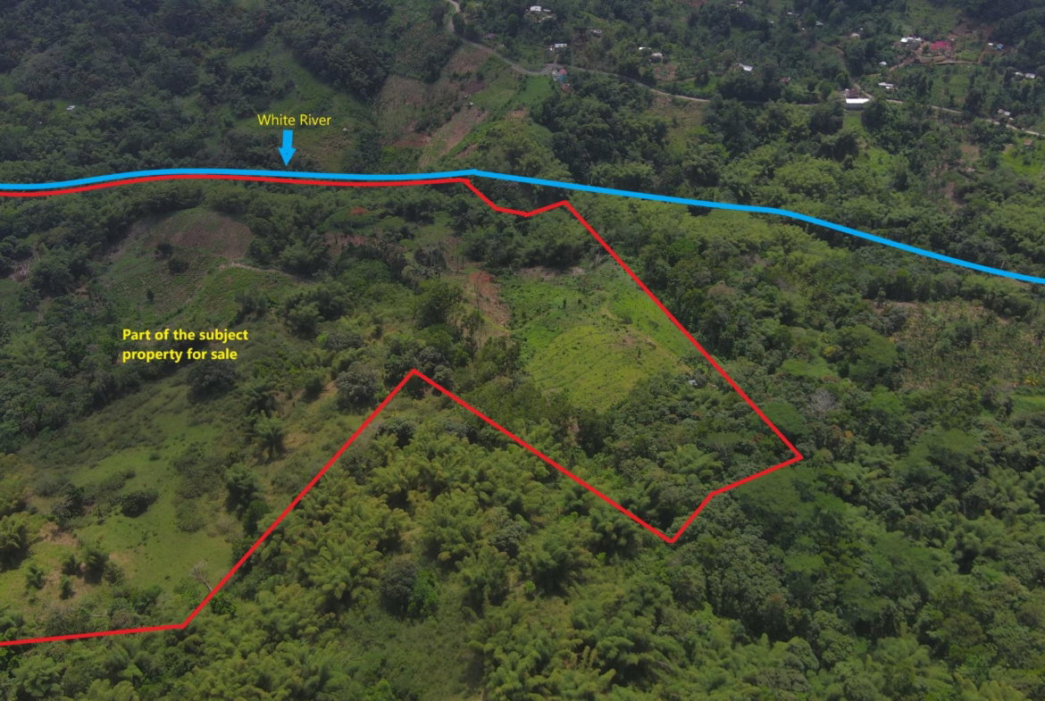 Second image of Halifax St. Mary in Halifax, St. Mary, Jamaica - property is For Sale