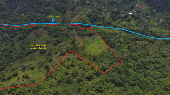 Second image of Halifax St. Mary in Halifax, St. Mary, Jamaica - property is For Sale