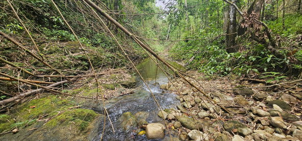 Thirteenth image of Halifax St. Mary in Halifax, St. Mary, Jamaica - property is For Sale