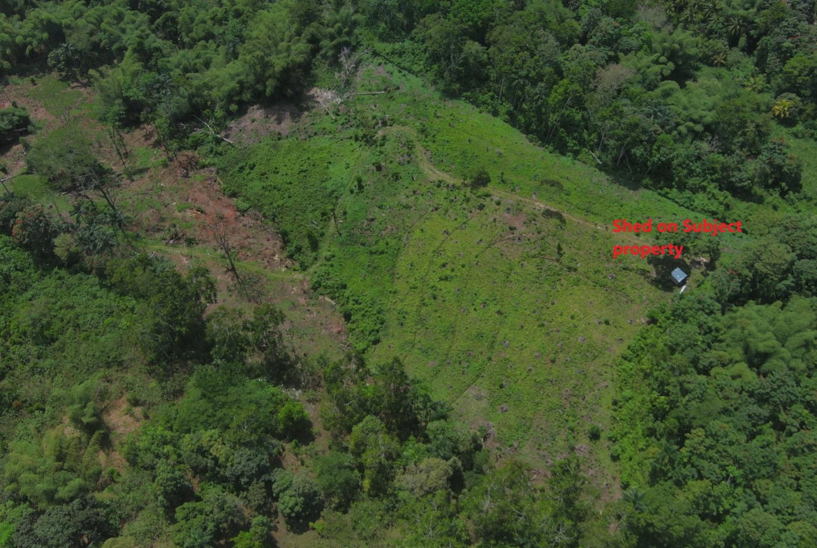 Third image of Halifax St. Mary in Halifax, St. Mary, Jamaica - property is For Sale