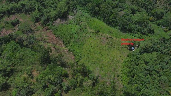 Third image of Halifax St. Mary in Halifax, St. Mary, Jamaica - property is For Sale