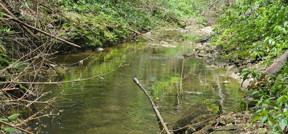 First image of Halifax St. Mary in Halifax, St. Mary, Jamaica - property is For Sale