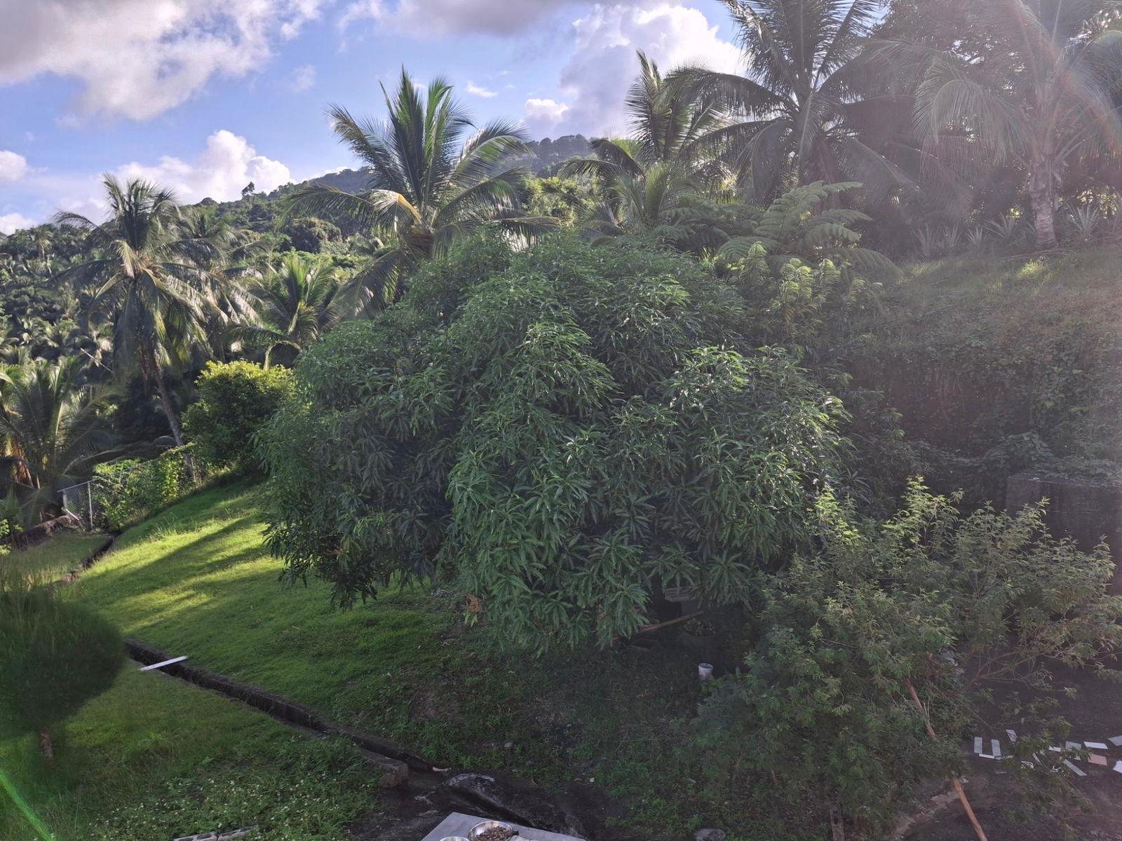 Twelfth image of St. Margret's Bay in St. Margaret's Bay, Portland, Jamaica - property is For Sale