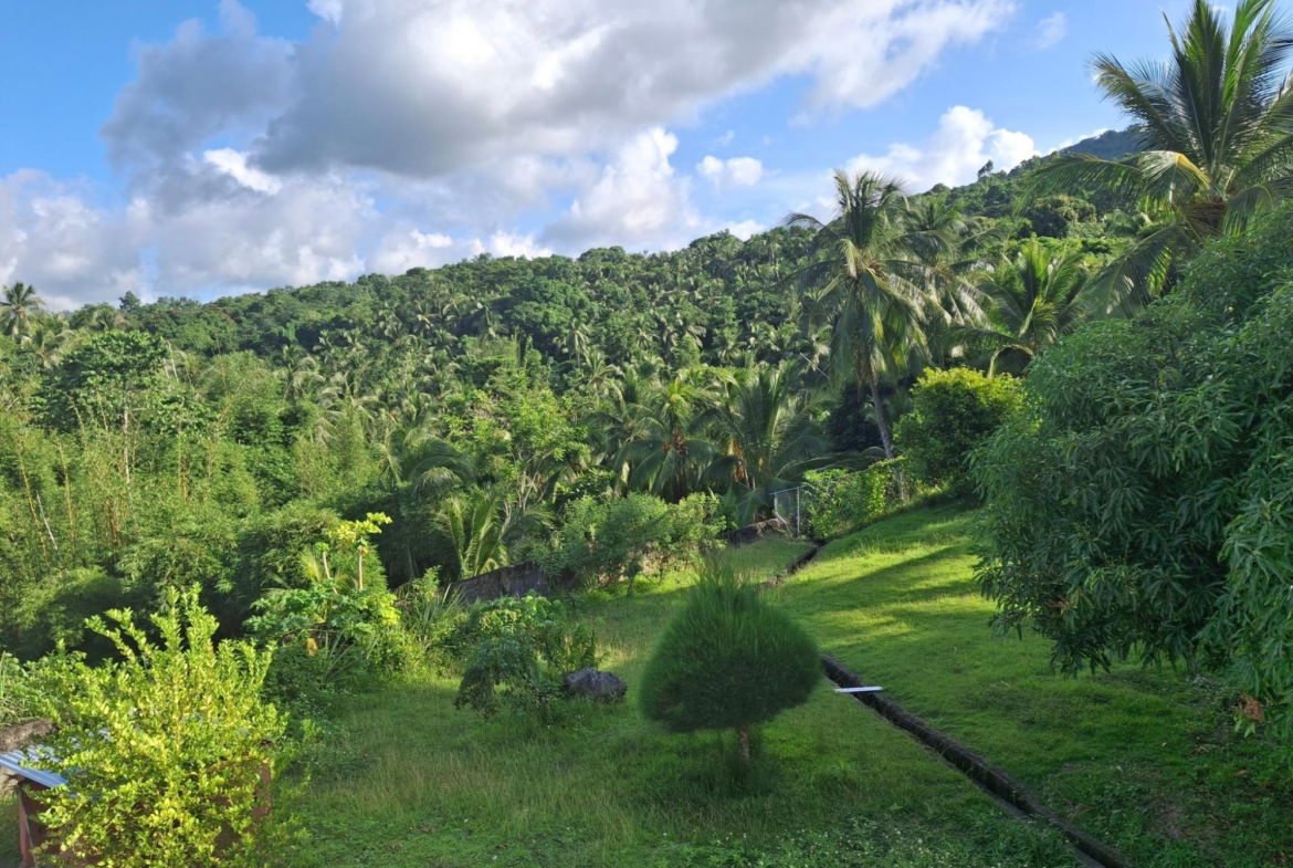 Thirteenth image of St. Margret's Bay in St. Margaret's Bay, Portland, Jamaica - property is For Sale