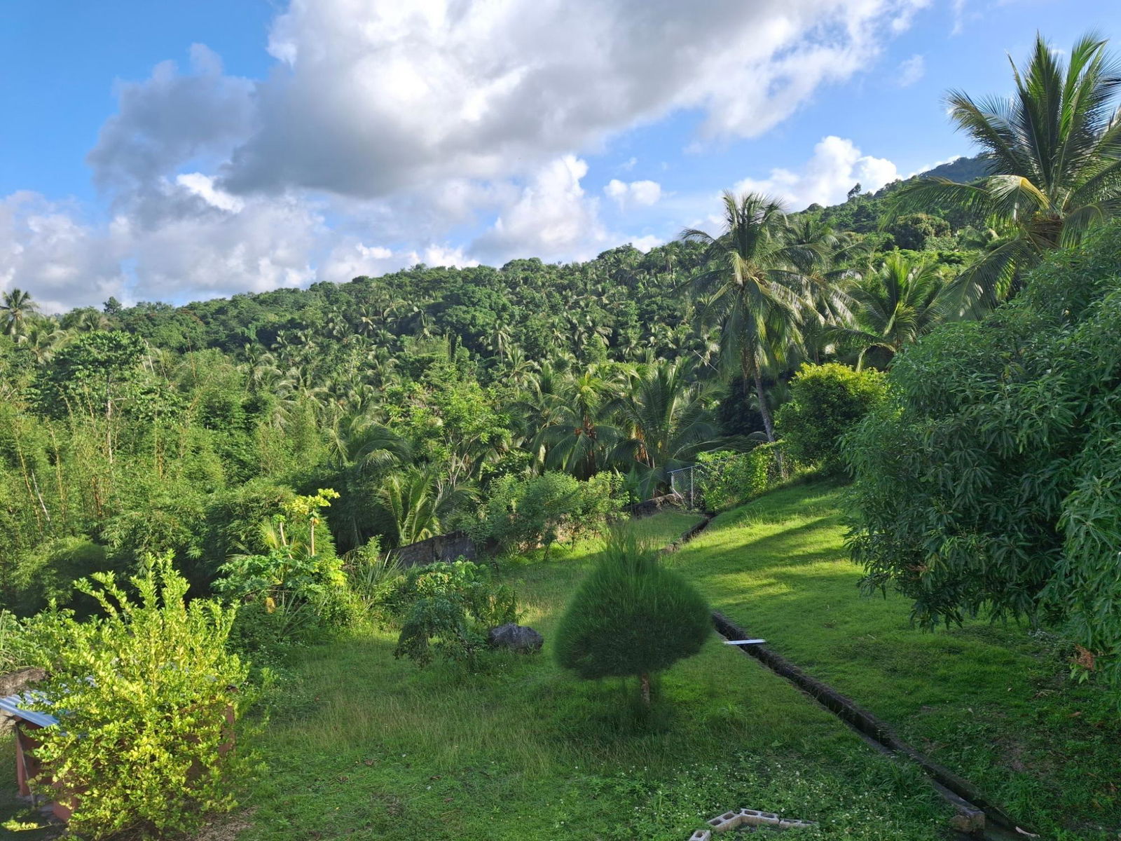 Thirteenth image of St. Margret's Bay in St. Margaret's Bay, Portland, Jamaica - property is For Sale