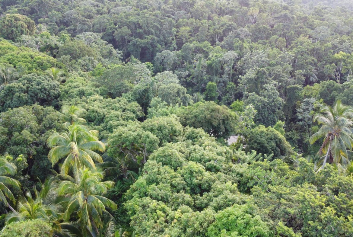 Fifteenth image of St. Margret's Bay in St. Margaret's Bay, Portland, Jamaica - property is For Sale