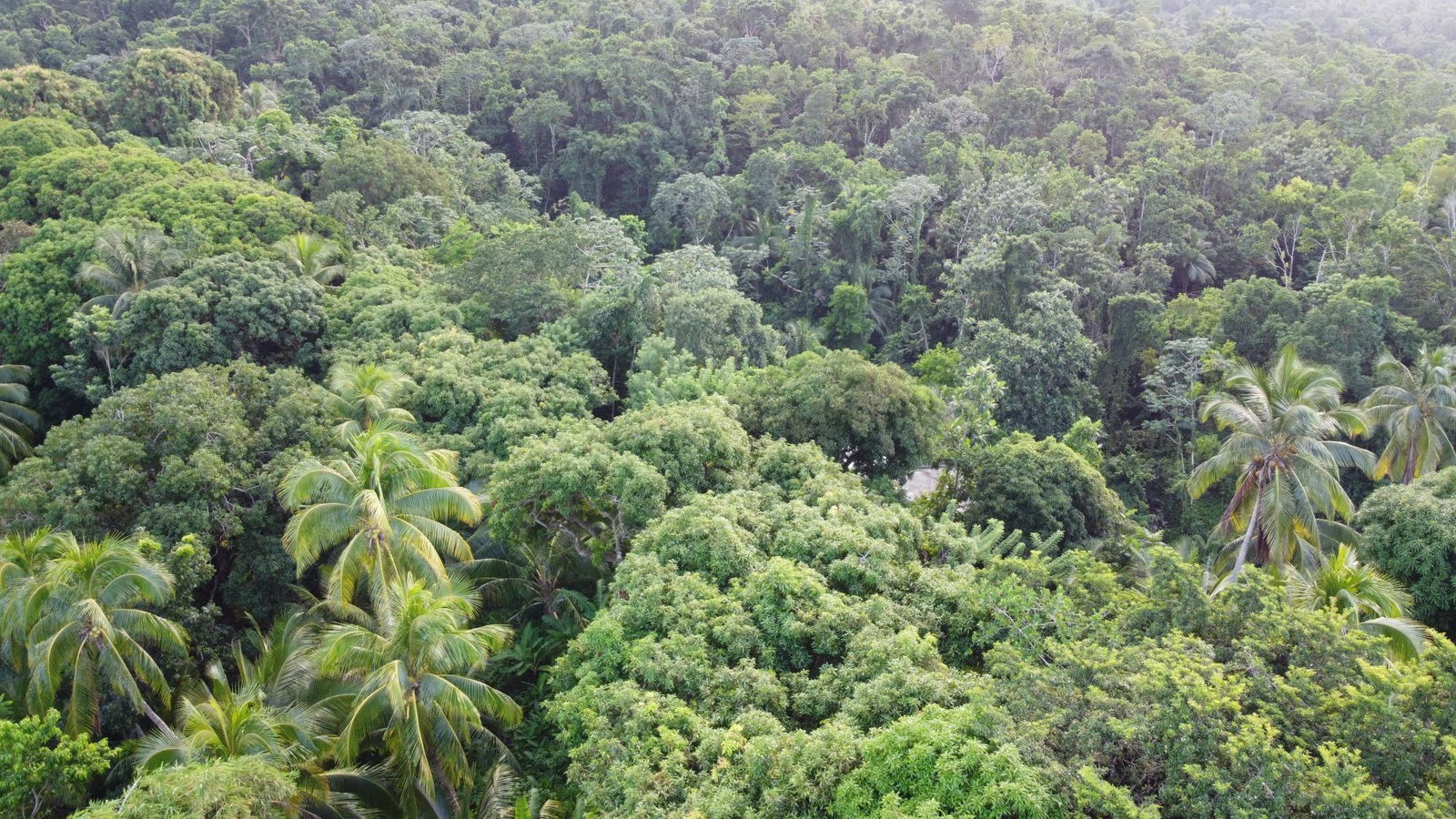 Fifteenth image of St. Margret's Bay in St. Margaret's Bay, Portland, Jamaica - property is For Sale