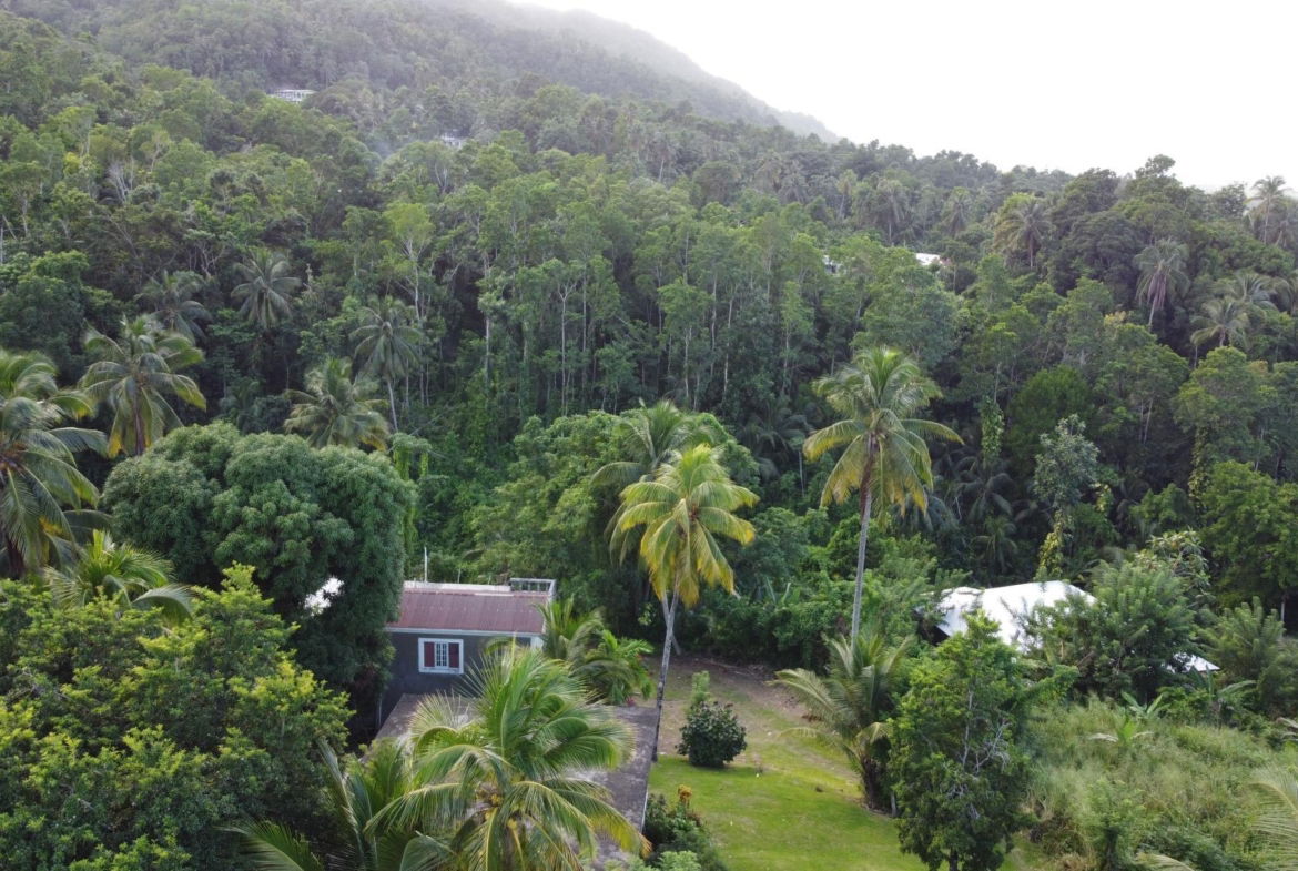 Sixteenth image of St. Margret's Bay in St. Margaret's Bay, Portland, Jamaica - property is For Sale