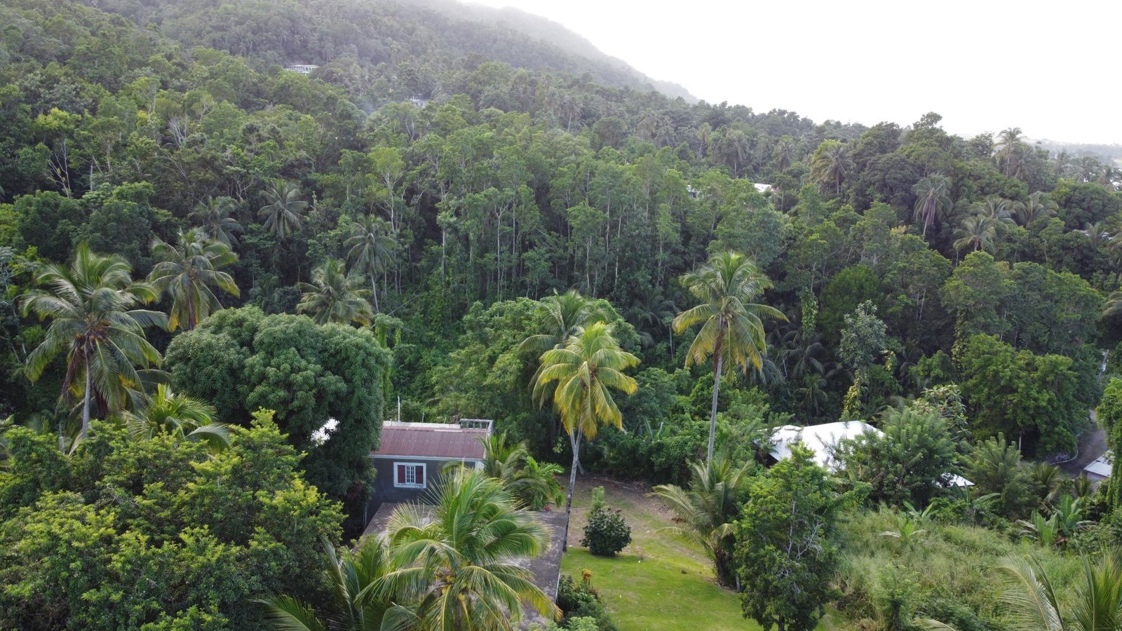 Sixteenth image of St. Margret's Bay in St. Margaret's Bay, Portland, Jamaica - property is For Sale