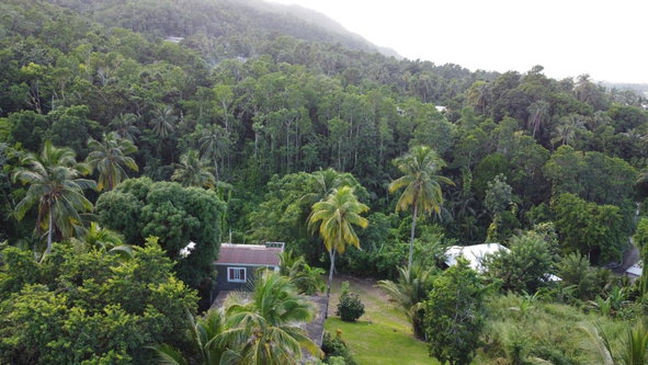 Sixteenth image of St. Margret's Bay in St. Margaret's Bay, Portland, Jamaica - property is For Sale