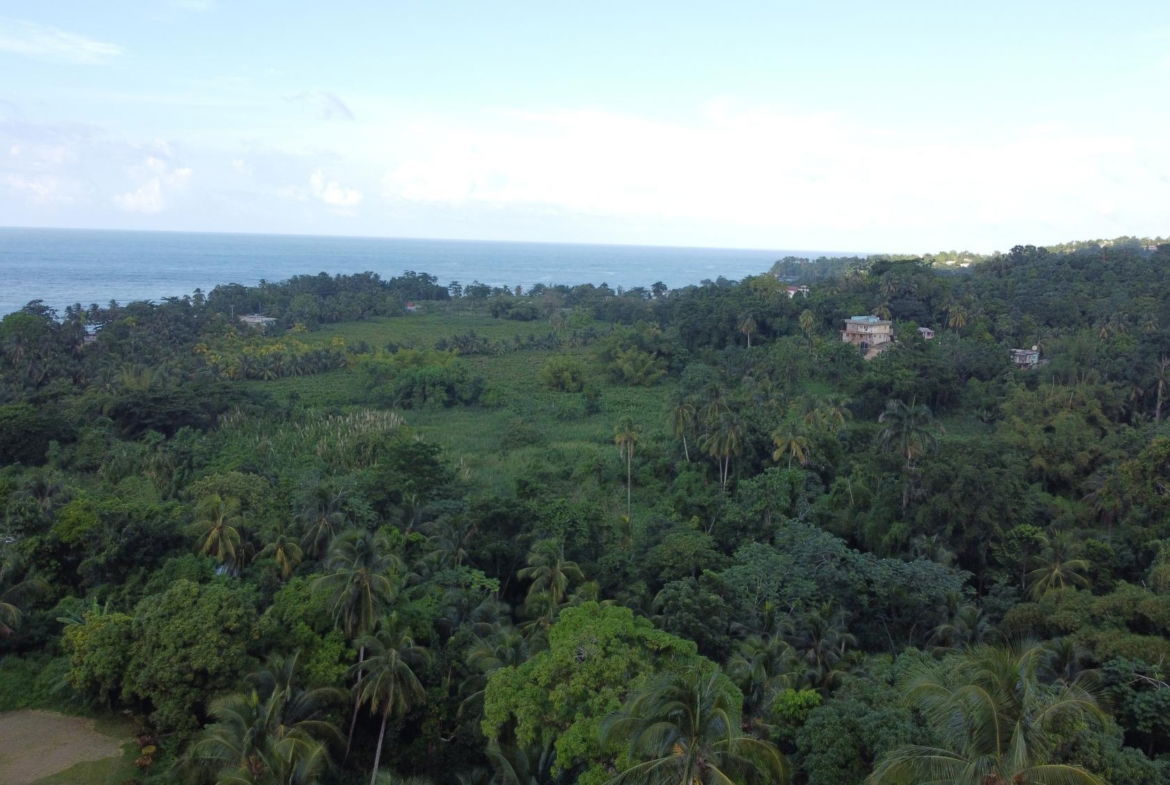 Eighteenth image of St. Margret's Bay in St. Margaret's Bay, Portland, Jamaica - property is For Sale