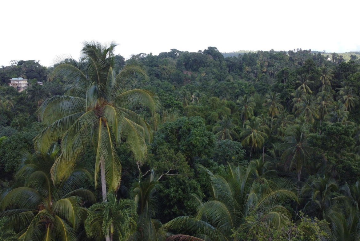 Twentieth image of St. Margret's Bay in St. Margaret's Bay, Portland, Jamaica - property is For Sale