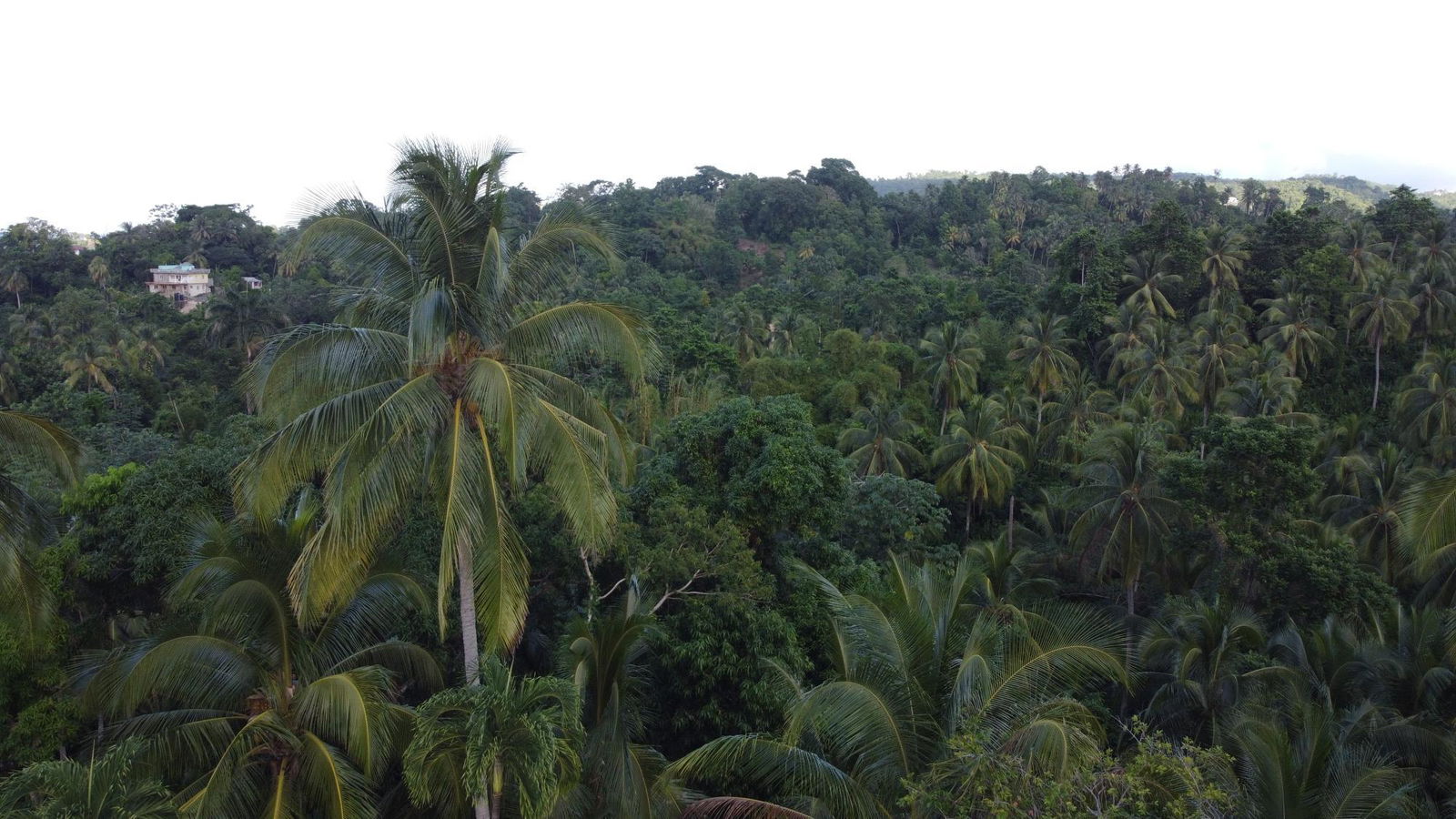 Twentieth image of St. Margret's Bay in St. Margaret's Bay, Portland, Jamaica - property is For Sale