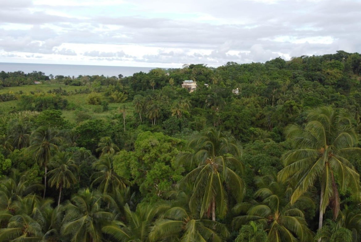 Twenty-Third image of St. Margret's Bay in St. Margaret's Bay, Portland, Jamaica - property is For Sale