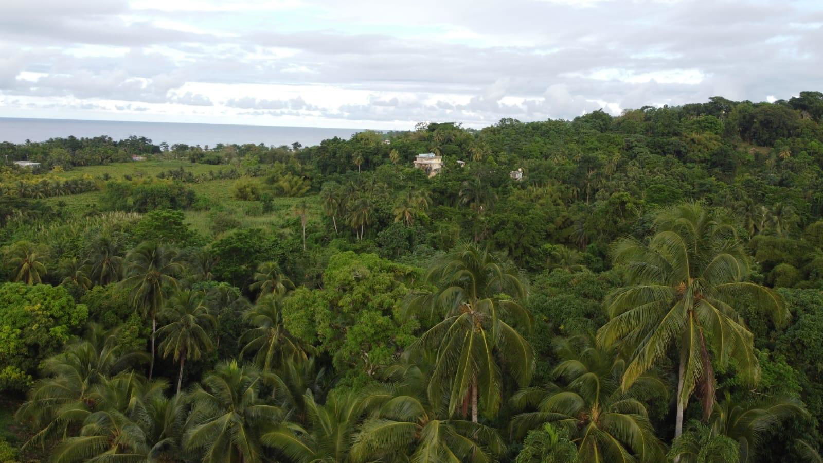 Twenty-Third image of St. Margret's Bay in St. Margaret's Bay, Portland, Jamaica - property is For Sale