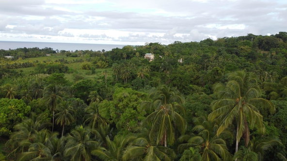 Twenty-Third image of St. Margret's Bay in St. Margaret's Bay, Portland, Jamaica - property is For Sale