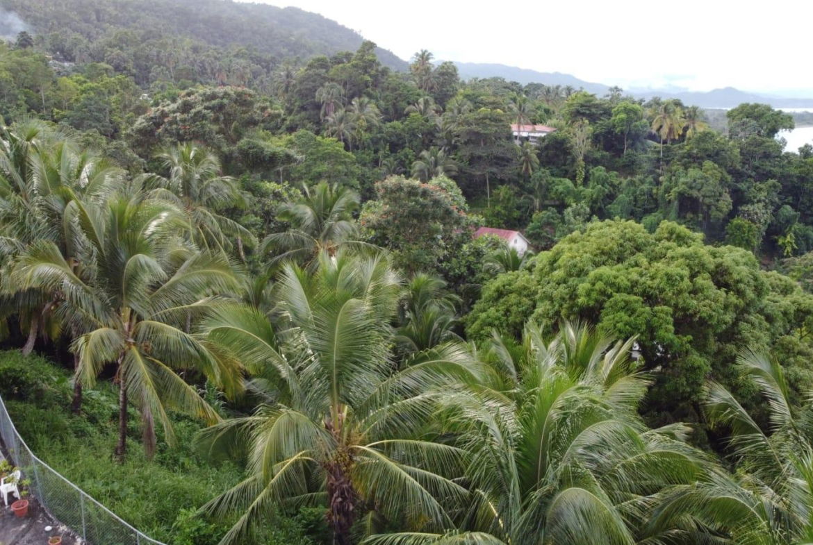 Twenty-Sixth image of St. Margret's Bay in St. Margaret's Bay, Portland, Jamaica - property is For Sale