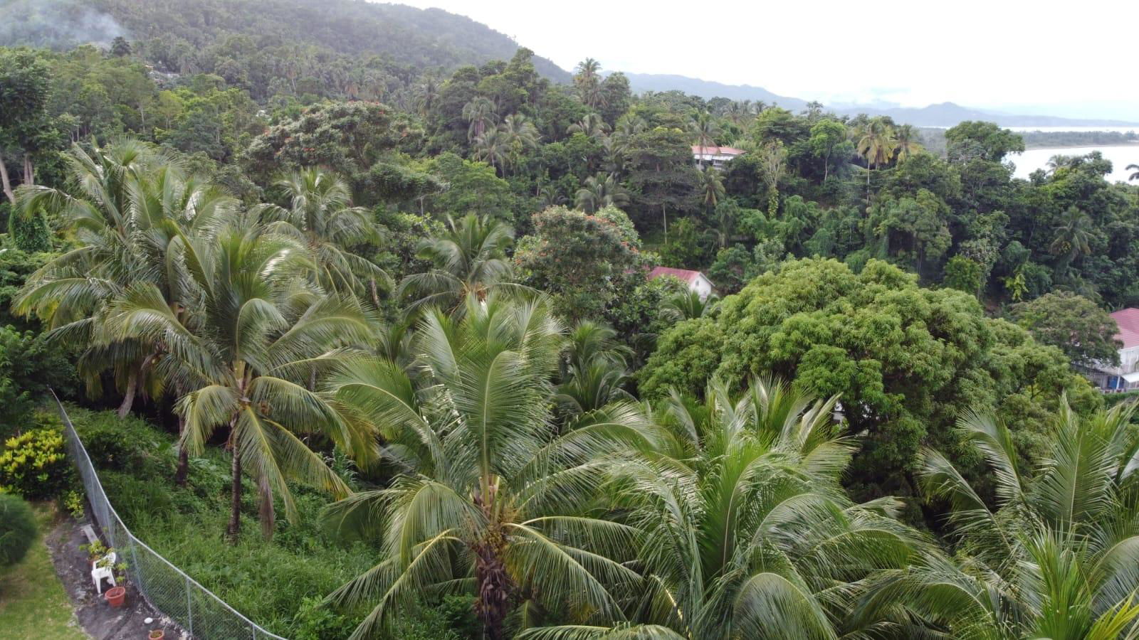Twenty-Sixth image of St. Margret's Bay in St. Margaret's Bay, Portland, Jamaica - property is For Sale