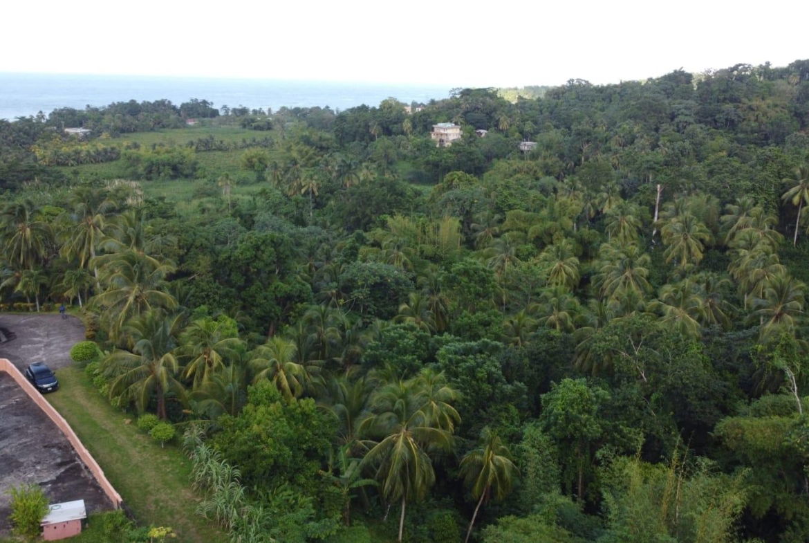 Twenty-Ninth image of St. Margret's Bay in St. Margaret's Bay, Portland, Jamaica - property is For Sale