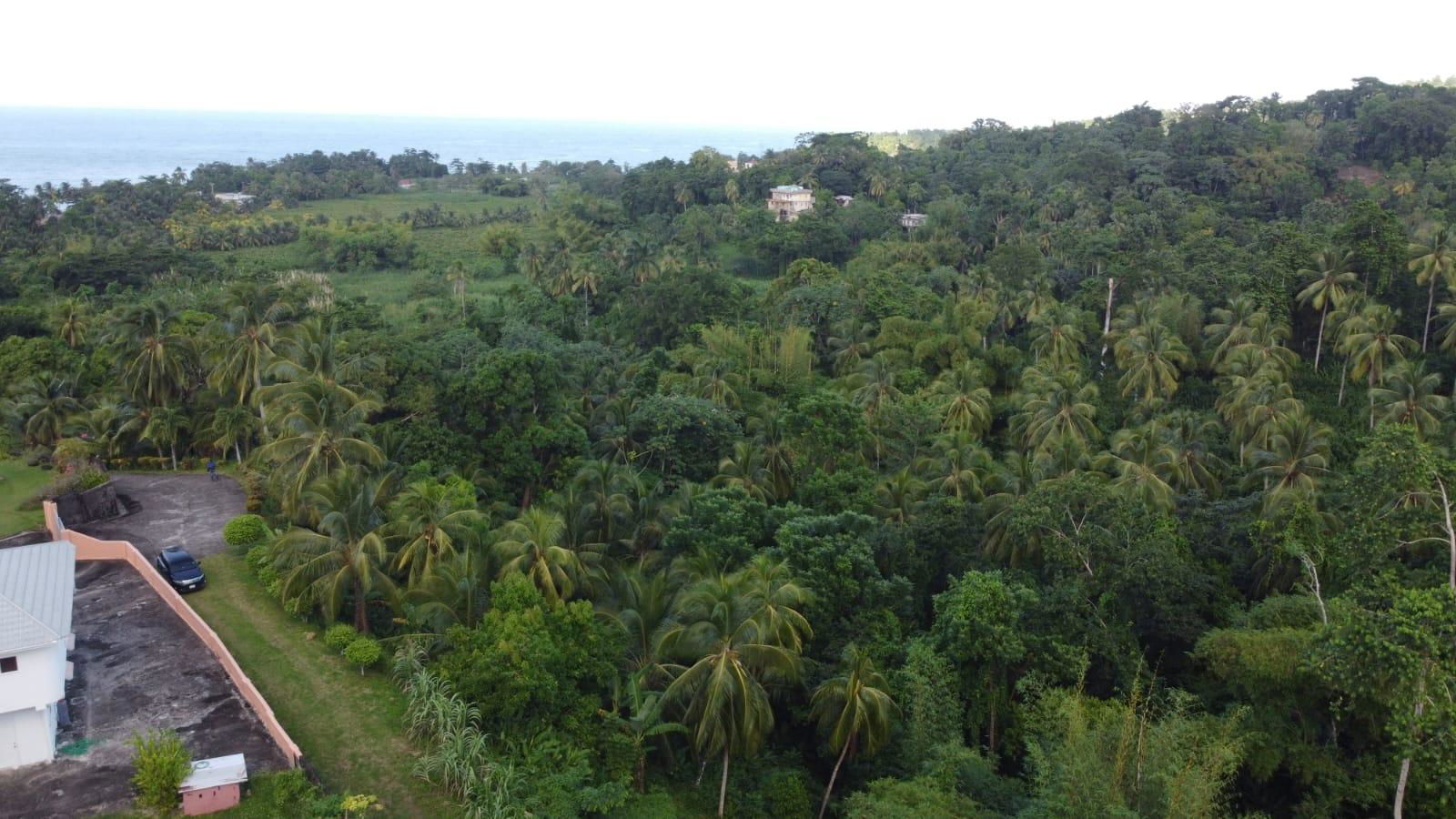 Twenty-Ninth image of St. Margret's Bay in St. Margaret's Bay, Portland, Jamaica - property is For Sale