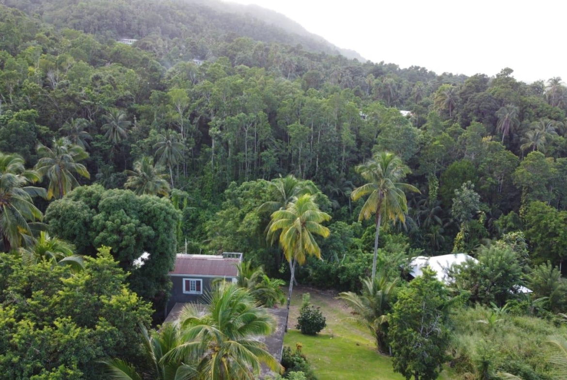 Thirtieth image of St. Margret's Bay in St. Margaret's Bay, Portland, Jamaica - property is For Sale