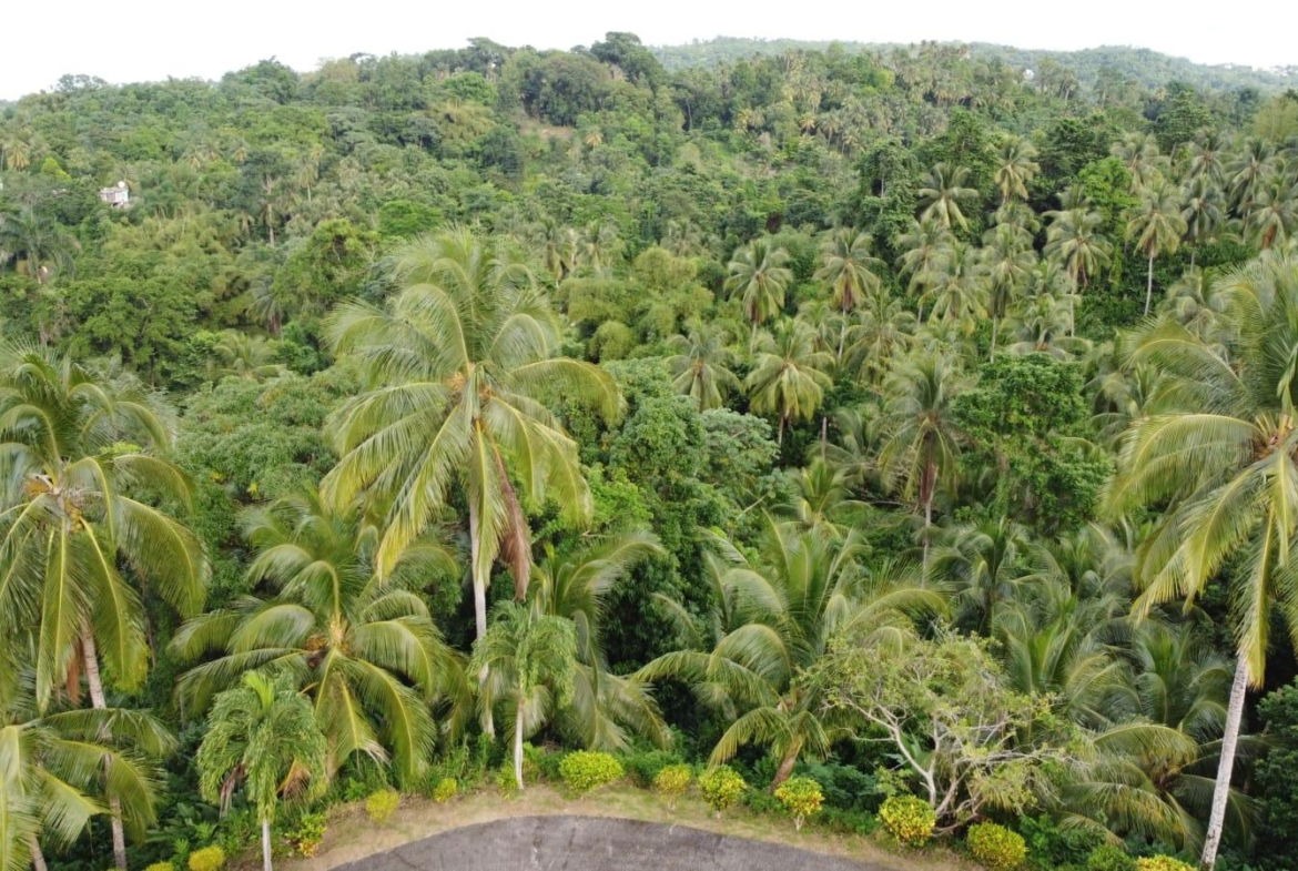 Fourth image of St. Margret's Bay in St. Margaret's Bay, Portland, Jamaica - property is For Sale