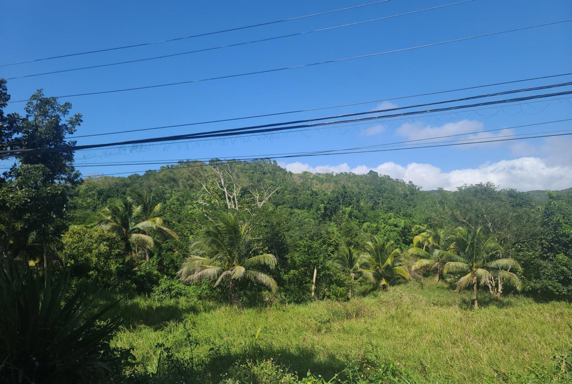 Eleventh image of Glendale Heights, Sign in Montego Bay, St. James, Jamaica - property is For Sale