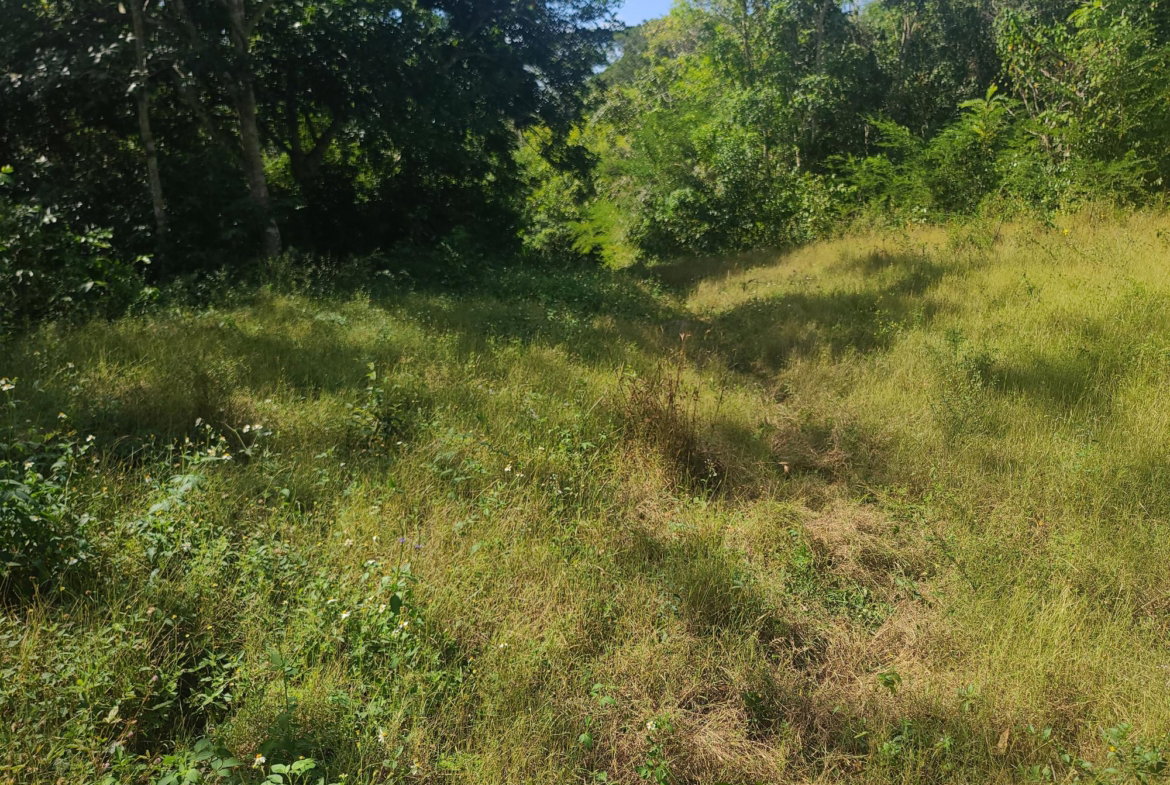 Thirteenth image of Glendale Heights, Sign in Montego Bay, St. James, Jamaica - property is For Sale