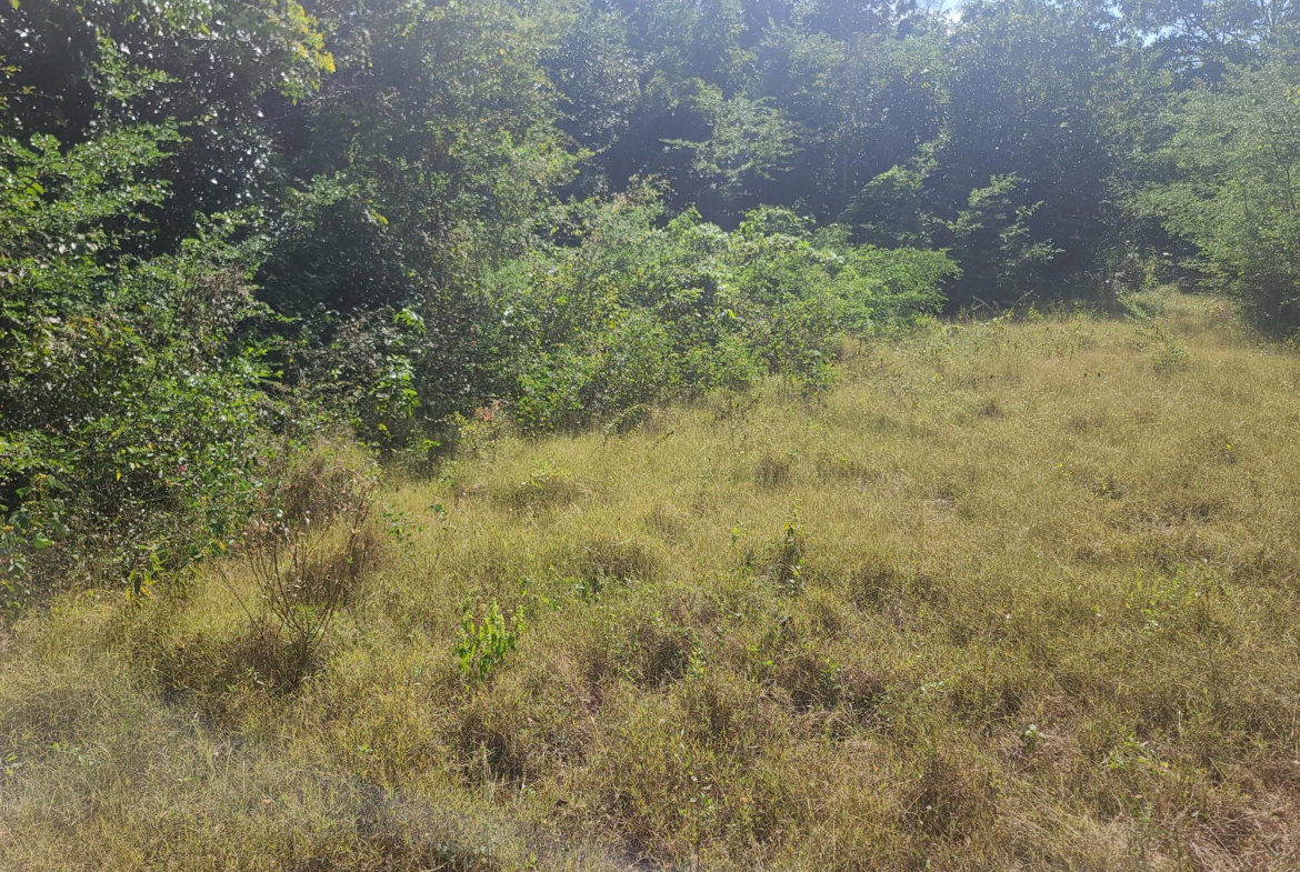Seventeenth image of Glendale Heights, Sign in Montego Bay, St. James, Jamaica - property is For Sale