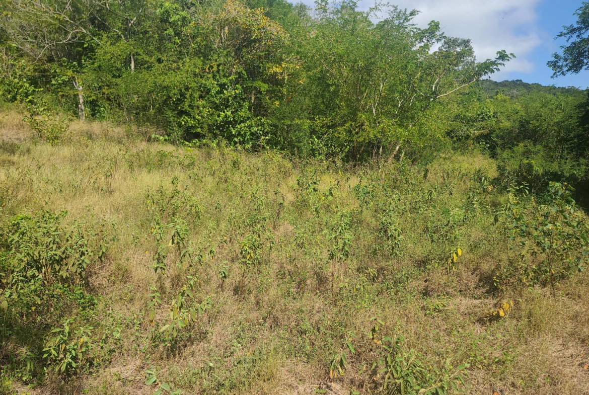 Eighteenth image of Glendale Heights, Sign in Montego Bay, St. James, Jamaica - property is For Sale