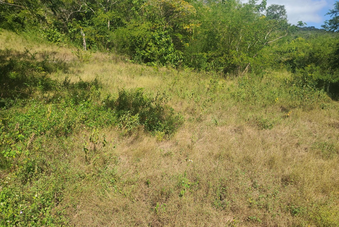 Twentieth image of Glendale Heights, Sign in Montego Bay, St. James, Jamaica - property is For Sale