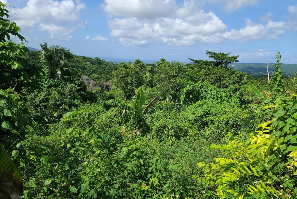 Third image of Glendale Heights, Sign in Montego Bay, St. James, Jamaica - property is For Sale