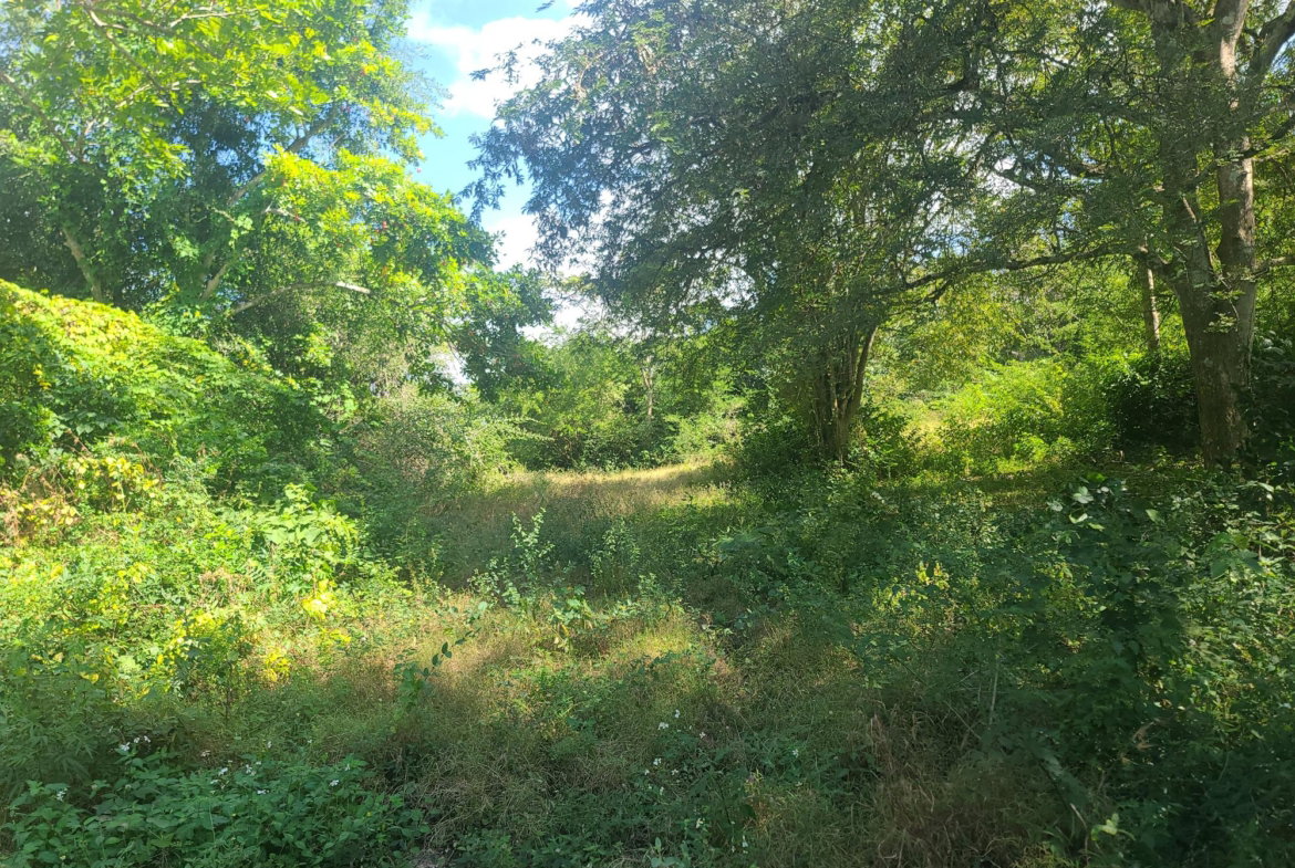 Twenty-First image of Glendale Heights, Sign in Montego Bay, St. James, Jamaica - property is For Sale