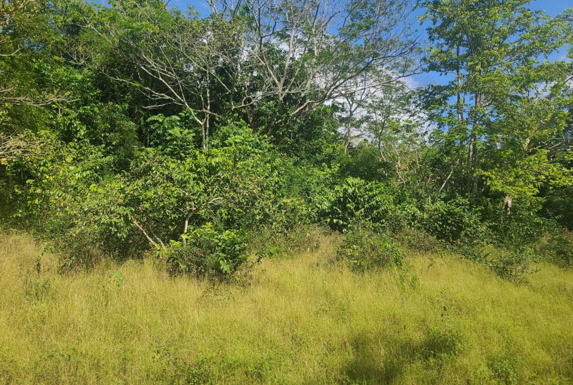 Twenty-Third image of Glendale Heights, Sign in Montego Bay, St. James, Jamaica - property is For Sale