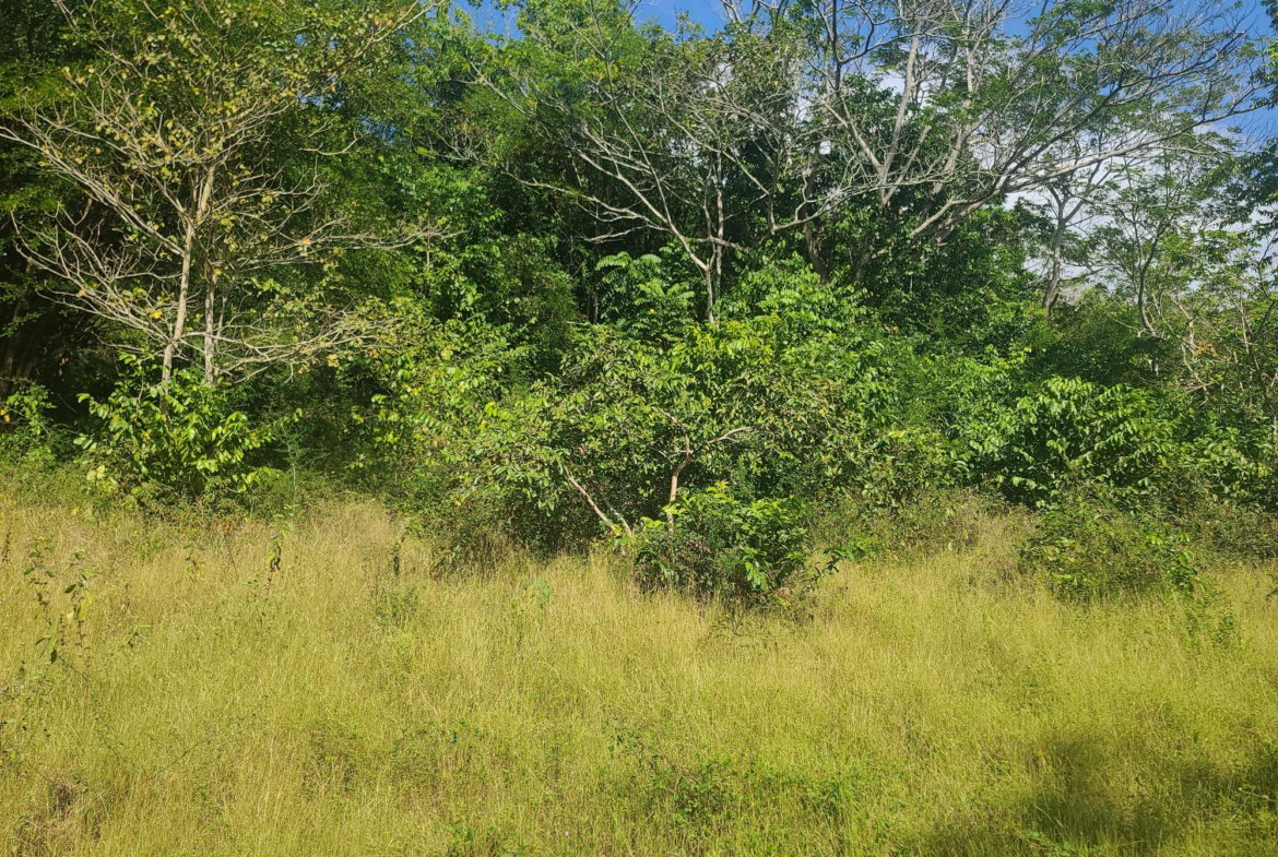 Twenty-Fourth image of Glendale Heights, Sign in Montego Bay, St. James, Jamaica - property is For Sale