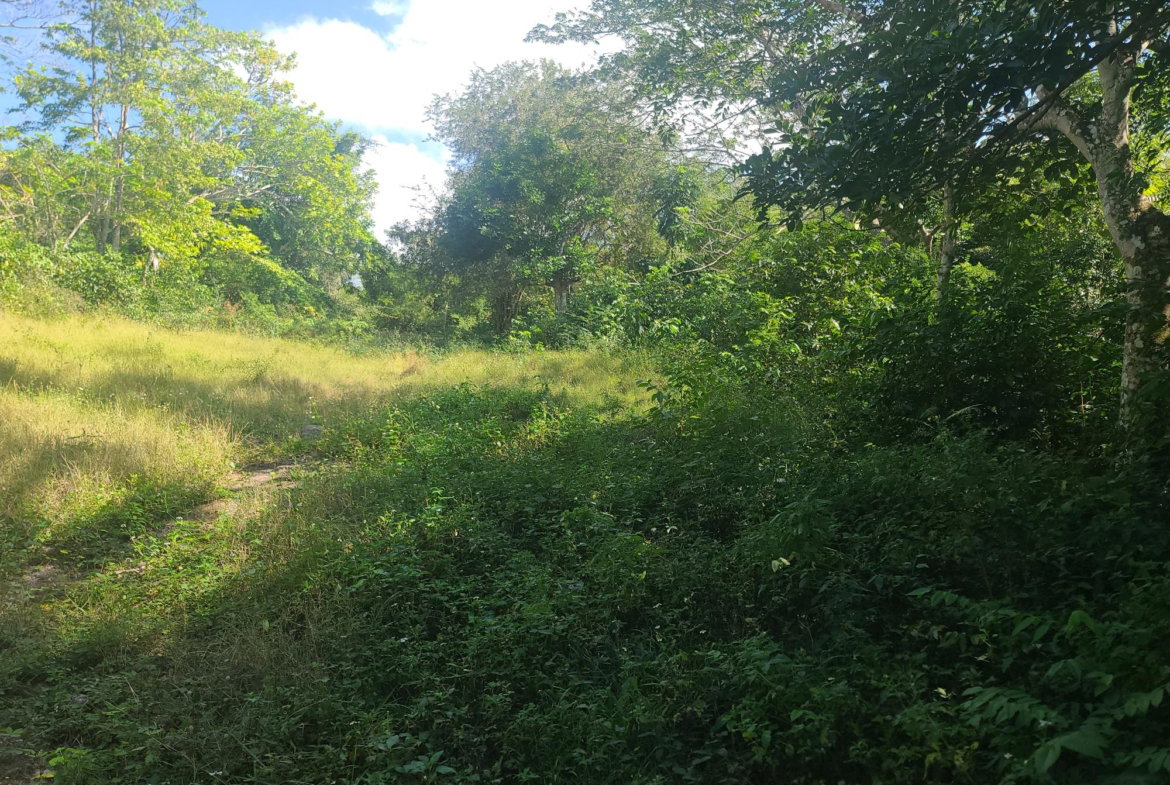 Twenty-Fifth image of Glendale Heights, Sign in Montego Bay, St. James, Jamaica - property is For Sale