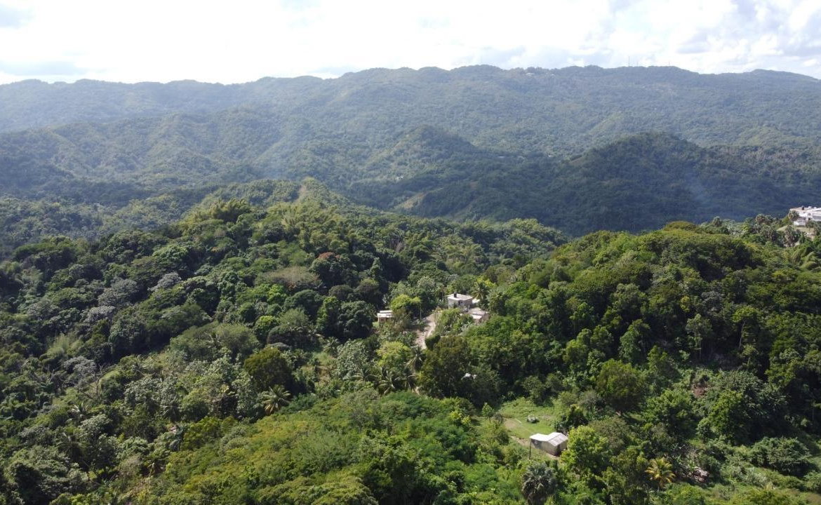 Sixth image of Glendale Heights, Sign in Montego Bay, St. James, Jamaica - property is For Sale