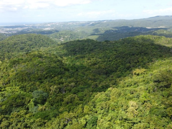 First image of Glendale Heights, Sign in Montego Bay, St. James, Jamaica - property is For Sale