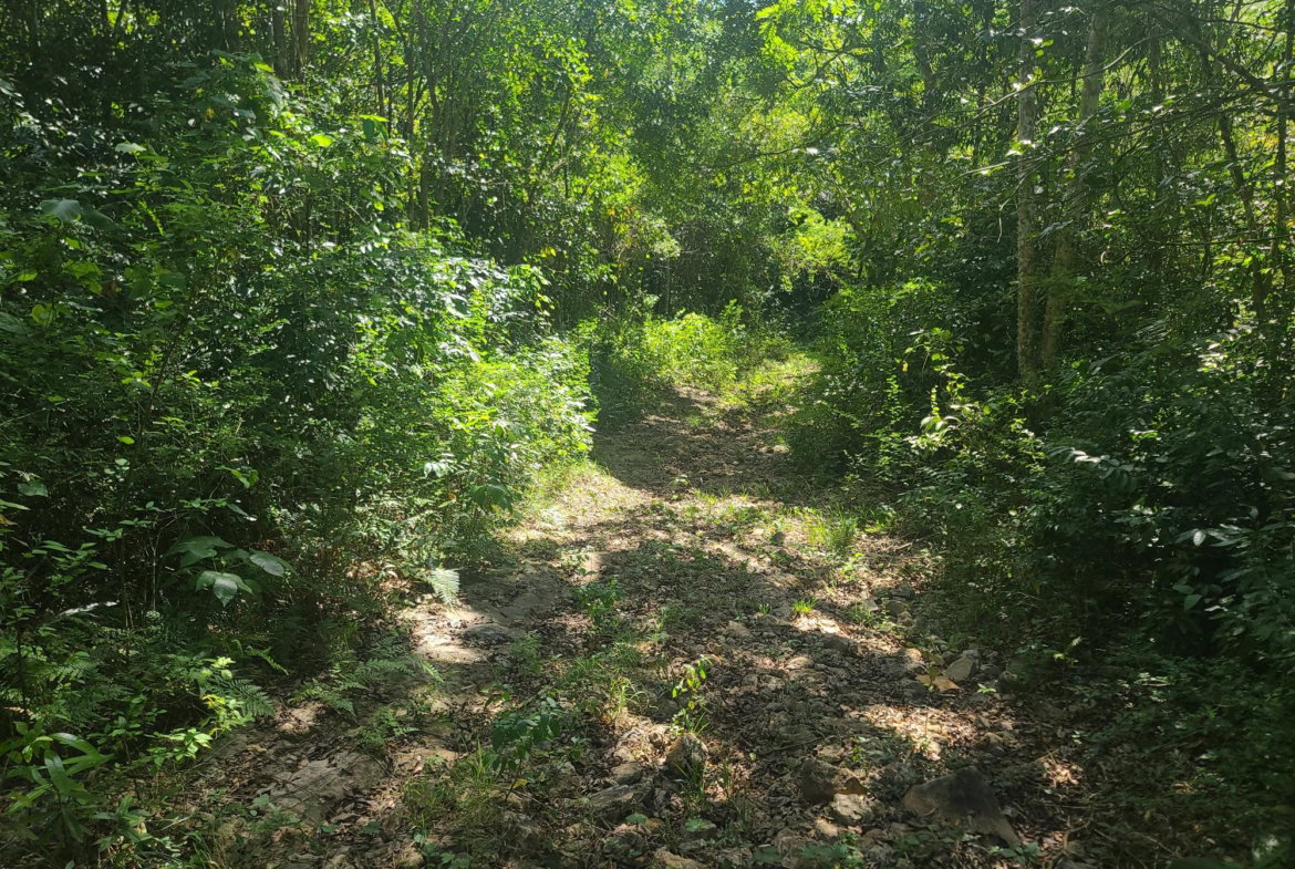 Ninth image of Glendale Heights, Sign in Montego Bay, St. James, Jamaica - property is For Sale