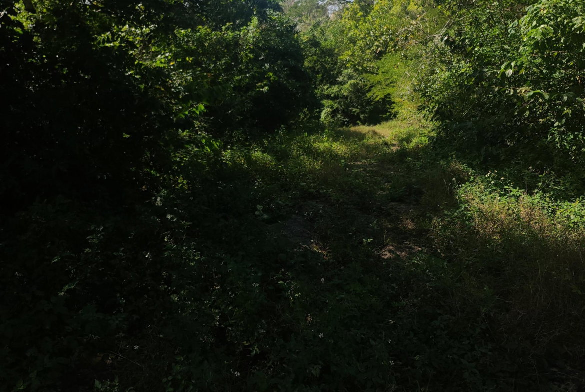 Tenth image of Glendale Heights, Sign in Montego Bay, St. James, Jamaica - property is For Sale