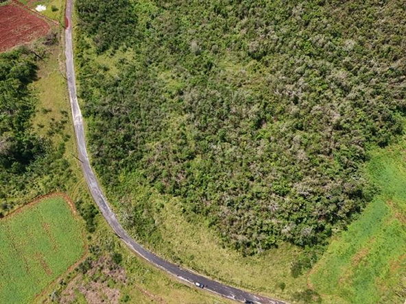Second image of 238 New Wales Newport in Knockpatrick, Manchester, Jamaica - property is For Sale