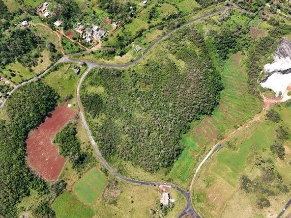 Fourth image of 238 New Wales Newport in Knockpatrick, Manchester, Jamaica - property is For Sale