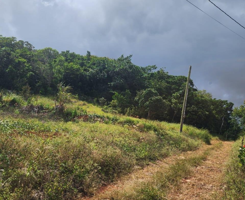 Eleventh image of 15 Wicwar Huntley Mandevill in Huntley, Manchester, Jamaica - property is For Sale
