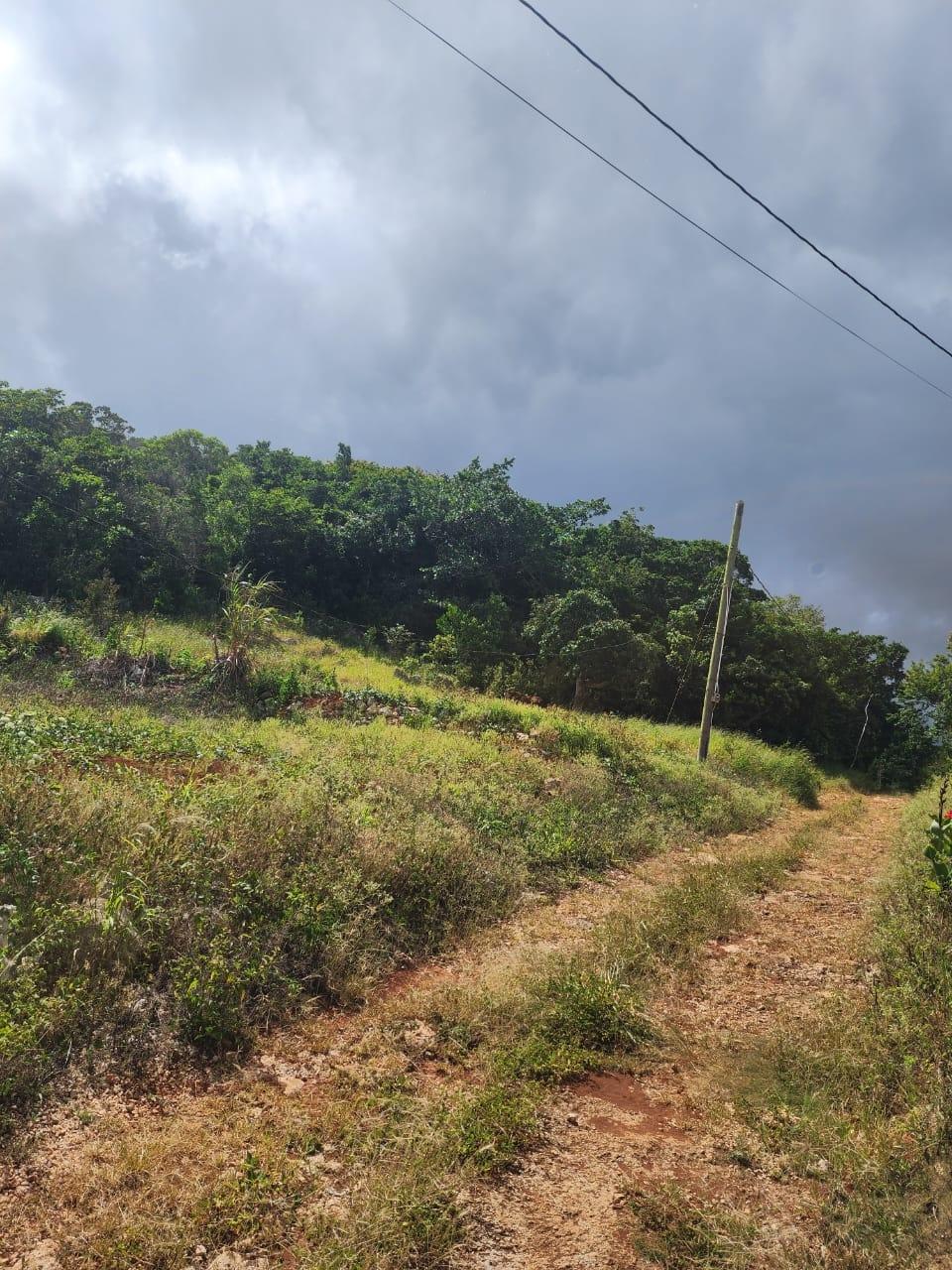 Eleventh image of 15 Wicwar Huntley Mandevill in Huntley, Manchester, Jamaica - property is For Sale