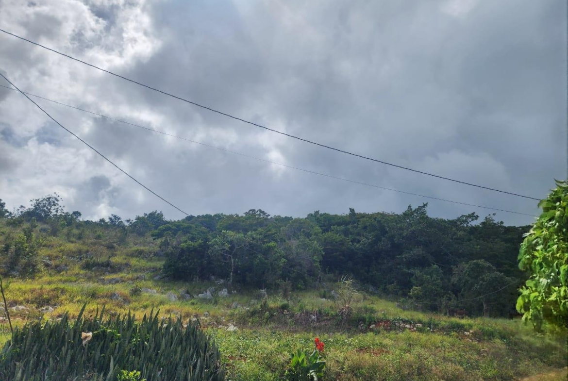 Twelfth image of 15 Wicwar Huntley Mandevill in Huntley, Manchester, Jamaica - property is For Sale