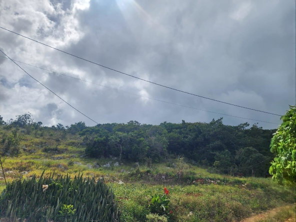 Twelfth image of 15 Wicwar Huntley Mandevill in Huntley, Manchester, Jamaica - property is For Sale
